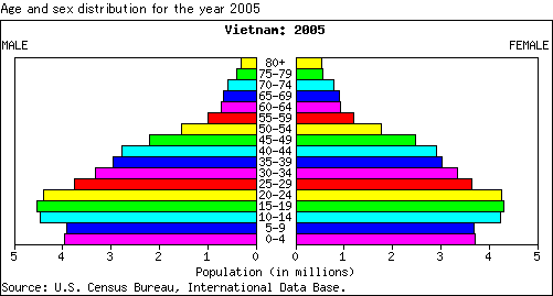 ベトナムの人口構成グラフ